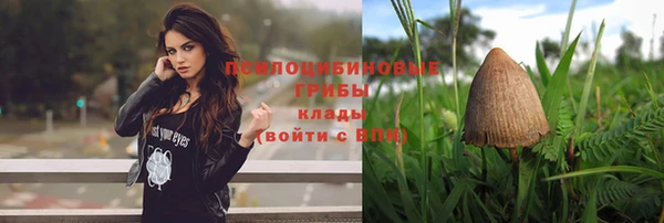 марихуана Бородино