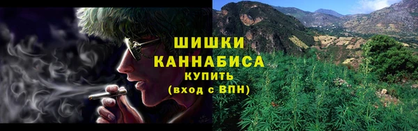 прущая мука Богородицк