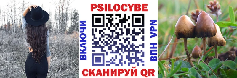 mega как зайти  Городец  Псилоцибиновые грибы MAGIC MUSHROOMS 